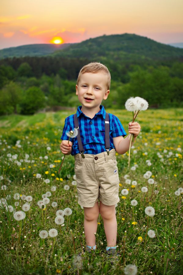 00027_sesja_Z — mini