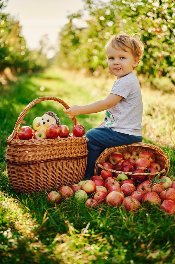 014_dzieciirodzina_nastrone2024